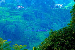 New Green View Resort